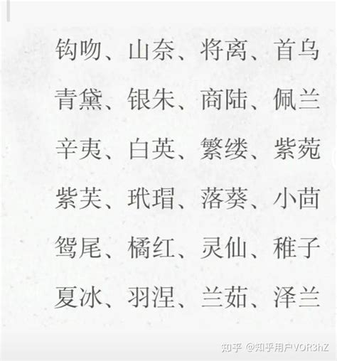 好聽名字大全